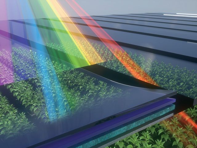 Energy Efficiency with Organic Solar Cells Photo